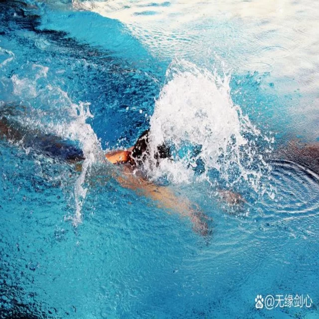 球队伤病与轮换策略：年轻化的关键与挑战