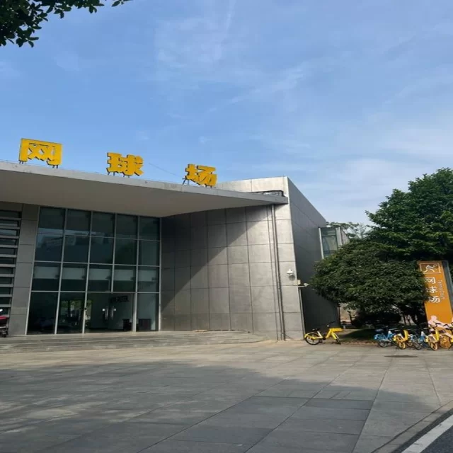 新疆外援赛场表现震撼球迷